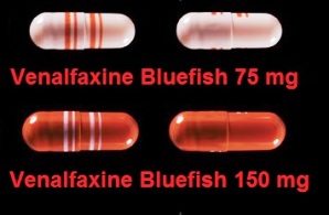 Venlafaxine bluefish